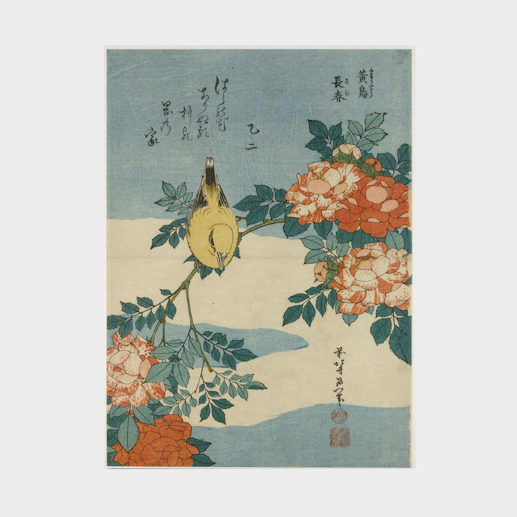 Hokusai - nightingale